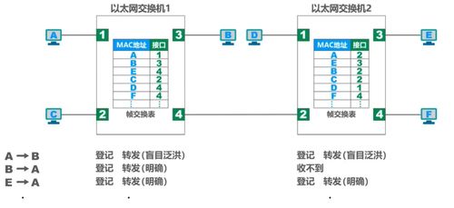 数据链路层（下） 计算机数据处理服务的基石与演进