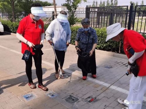 北辰区 以志愿服务常态化 谱写文明城区新篇章